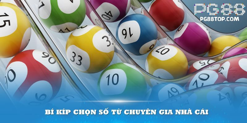 Bí kíp chọn số từ chuyên gia nhà cái